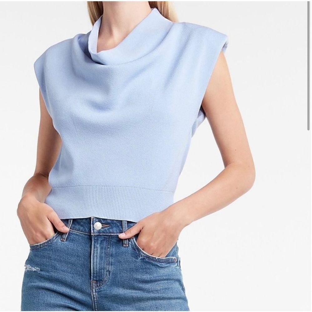 Express Sleeveless Sweater   